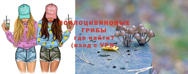 альфа пвп Гусев
