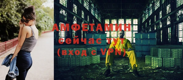 крисы Горняк