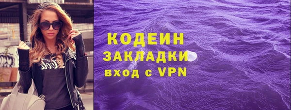 крисы Горняк