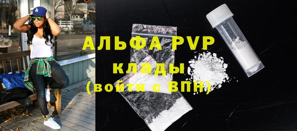 крисы Горняк