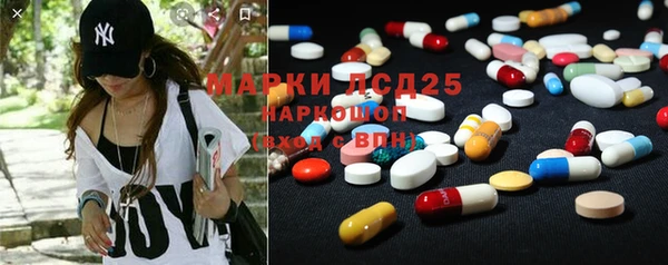 крисы Горняк