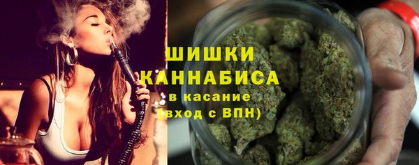 альфа пвп Гусев